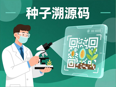 种子溯源码：构筑种业安全新防线，一码追溯让假种子无处遁形